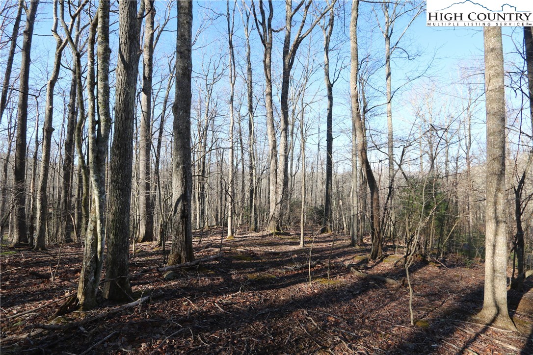 Lot 342 Twin Rivers Drive Boone, NC 28607 - Photo 6 of 29 Gallery Image 6