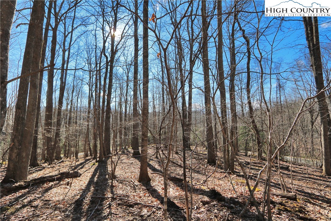 Lot 342 Twin Rivers Drive Boone, NC 28607 - Photo 7 of 29 Gallery Image 7