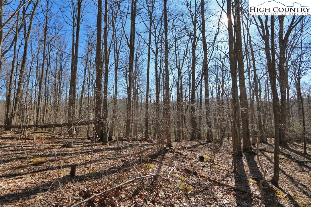 Lot 342 Twin Rivers Drive Boone, NC 28607 - Photo 8 of 29 Gallery Image 8