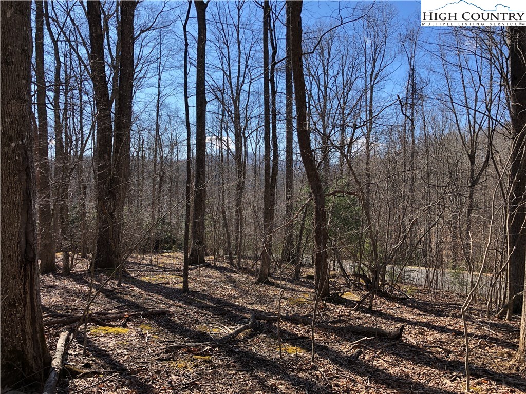 Lot 342 Twin Rivers Drive Boone, NC 28607 - Photo 10 of 29 Gallery Image 10