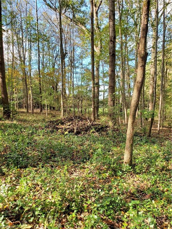 9092 Lasater Road Clemmons, NC 27012 - Photo 10 of 39 Natural area toward the back of the 2.86 acres