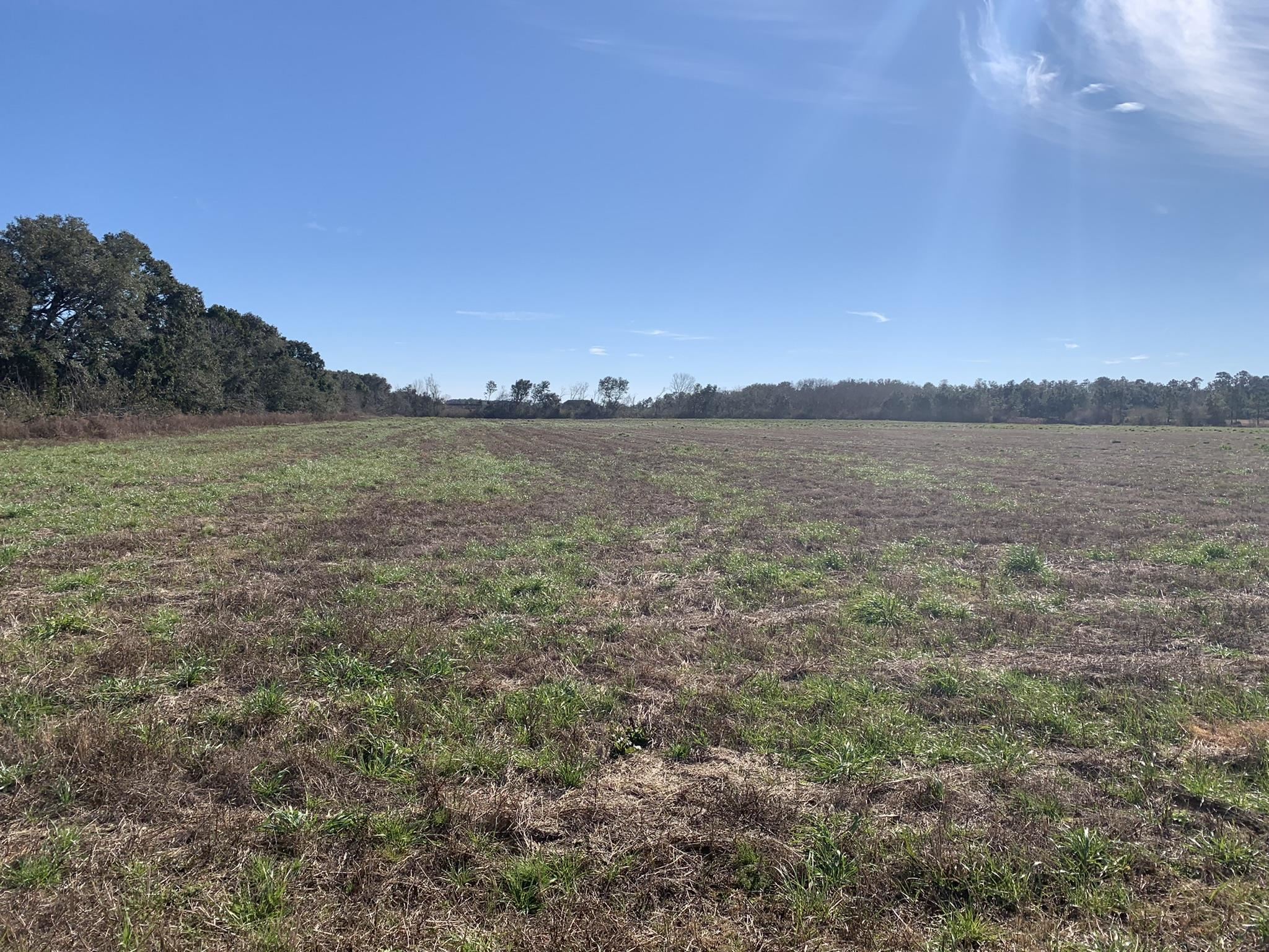 Lot 4 County Road 26 Elberta, AL 36530 - Photo 1 of 4
