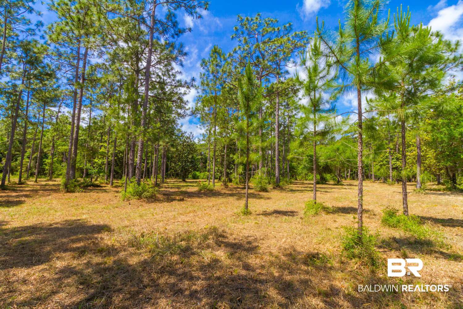 8844 Red Fish Pt Road Lillian, AL 36549 - Photo 13 of 16 Gallery Image 13