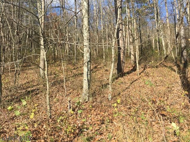 0 Teaberry Hollow Road Schellsburg, PA 15559 - Photo 12 of 16
