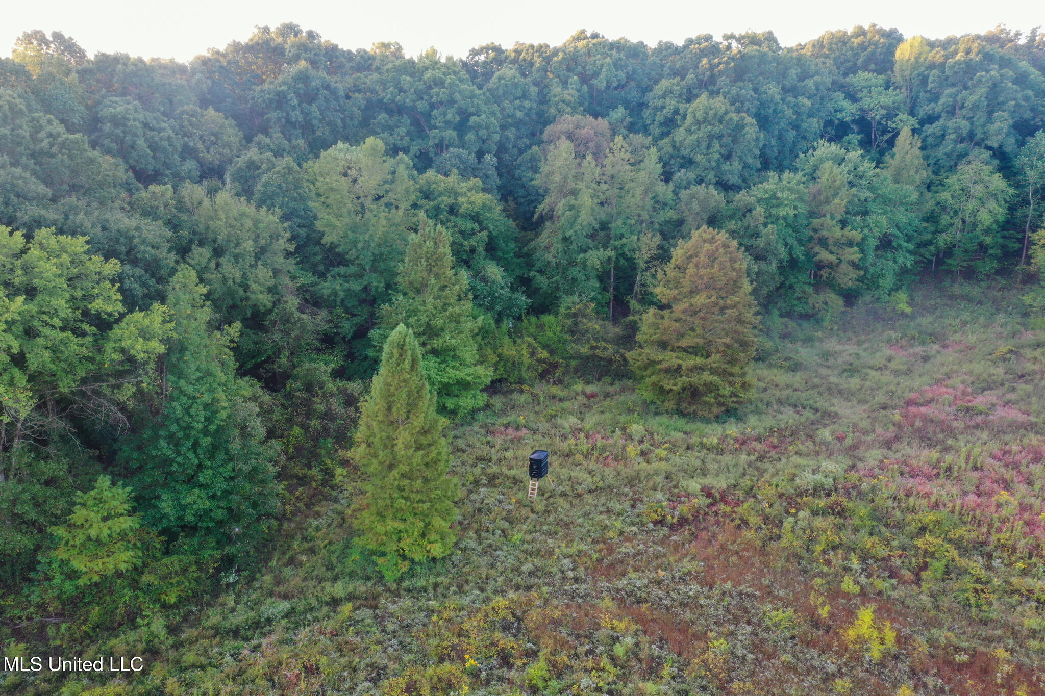 East Commerce Street Hernando, MS 38632 - Photo 14 of 51 DeSoto 109.8-18
