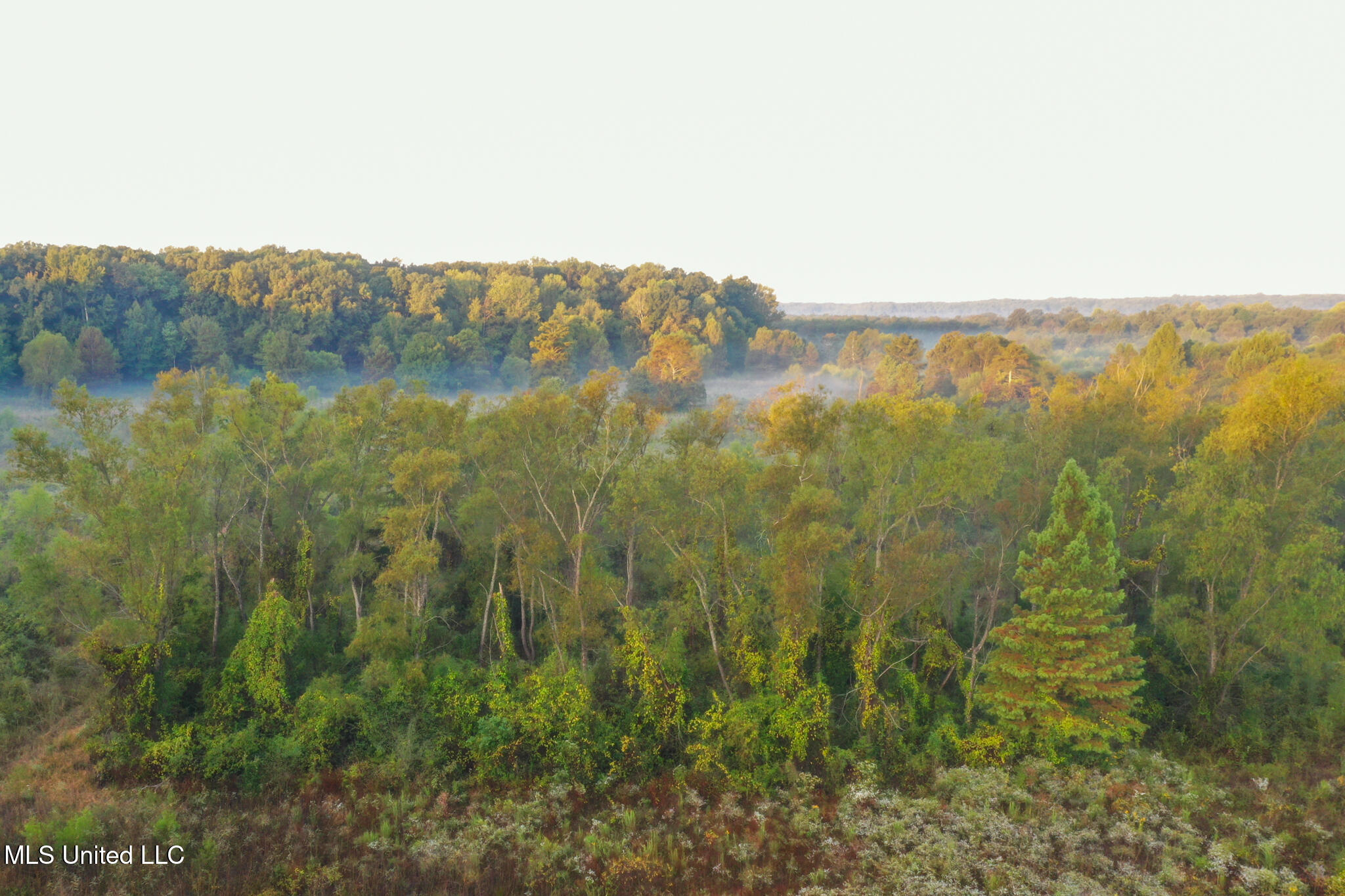 East Commerce Street Hernando, MS 38632 - Photo 18 of 51 DeSoto 109.8-15