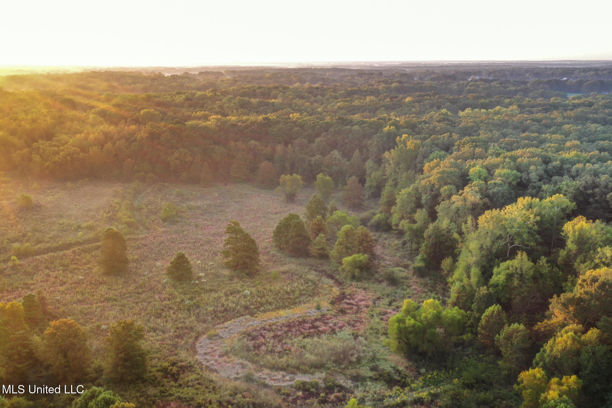 East Commerce Street Hernando, MS 38632 - Photo 19 of 51 DeSoto 109.8-14