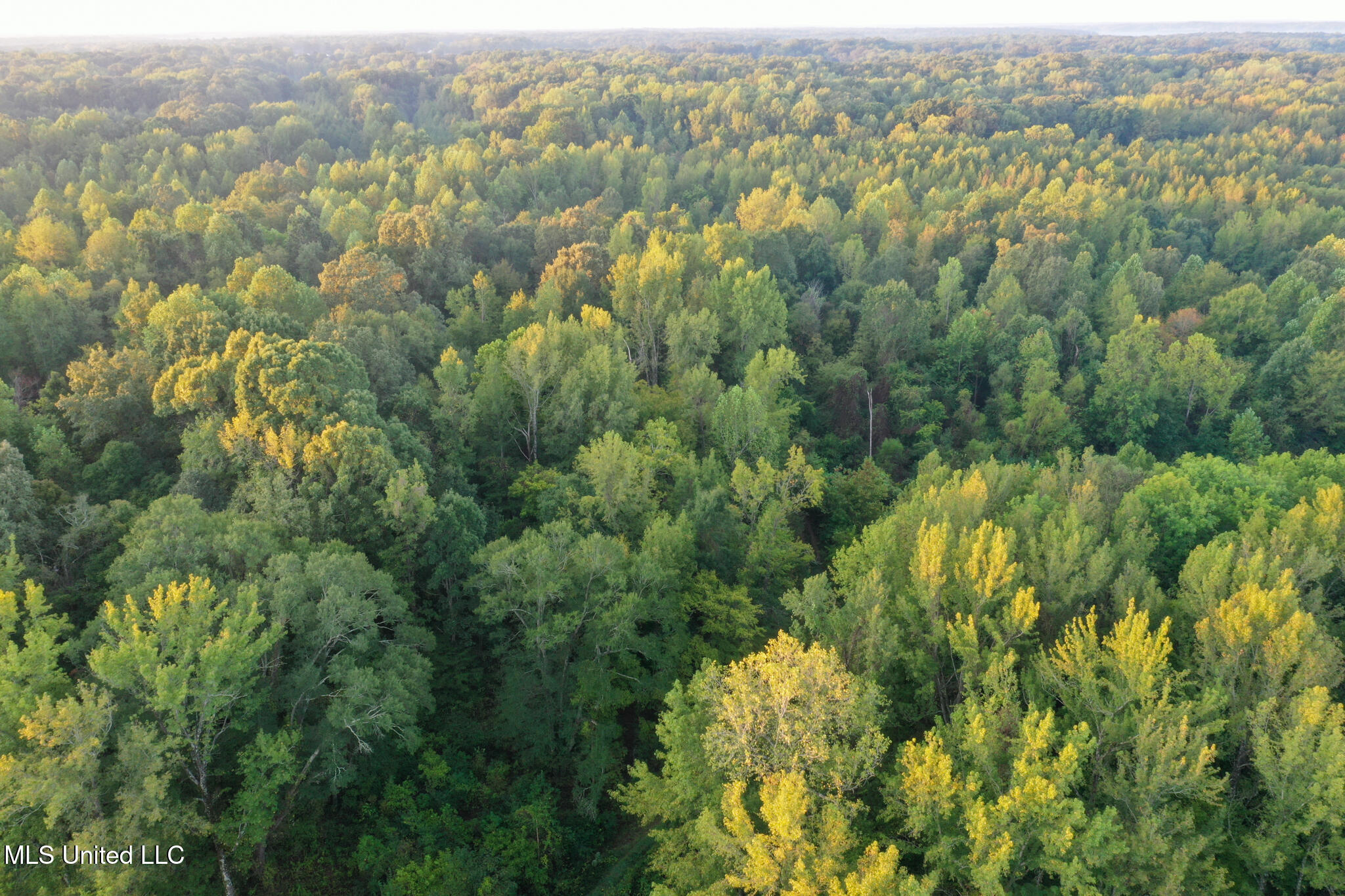 East Commerce Street Hernando, MS 38632 - Photo 26 of 51 DeSoto 109.8-21