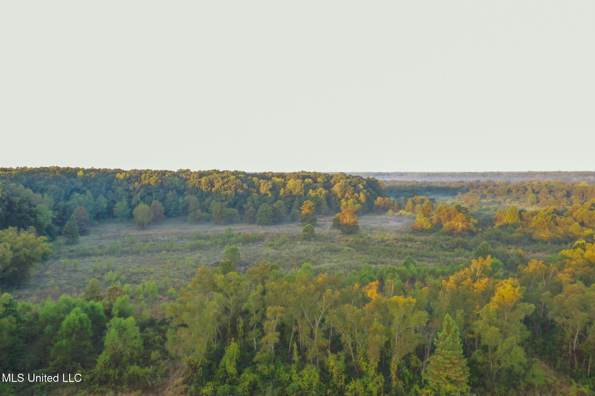 East Commerce Street Hernando, MS 38632 - Photo 27 of 51 DeSoto 109.8-22