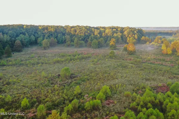 $299,000 | East Commerce Street, Hernando, MS 38632