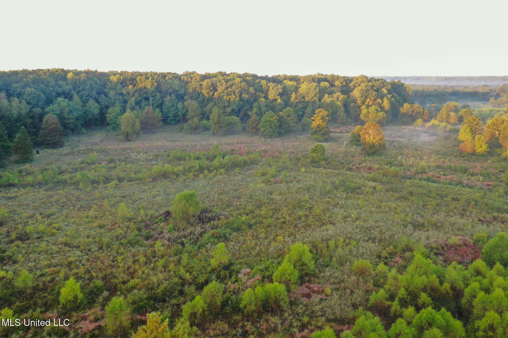 East Commerce Street Hernando, MS 38632 - Photo 28 of 51 DeSoto 109.8-23