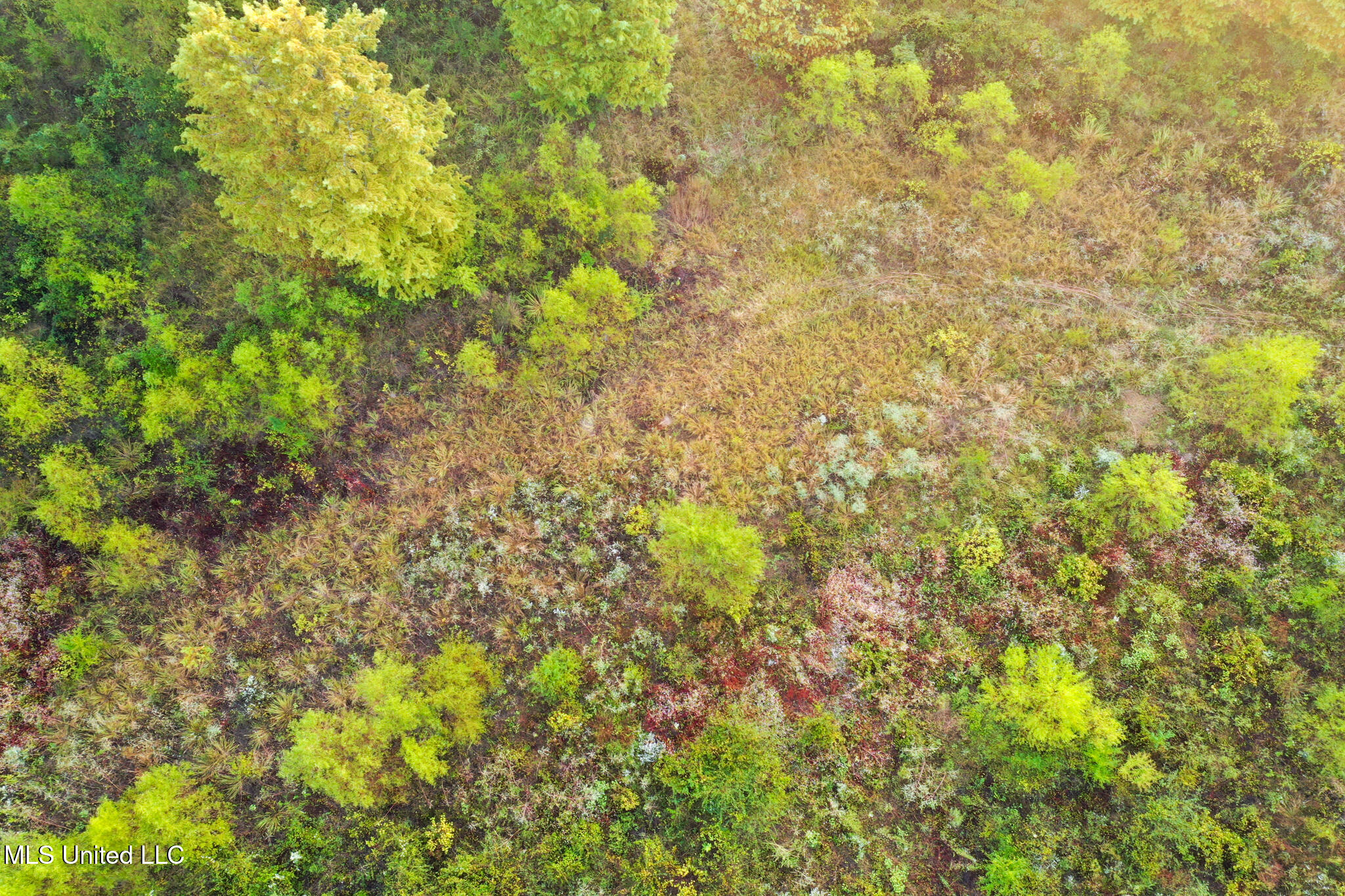 East Commerce Street Hernando, MS 38632 - Photo 29 of 51 DeSoto 109.8-24