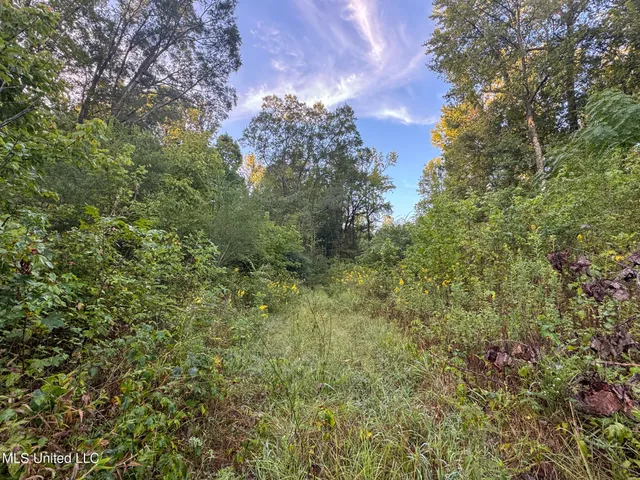 $299,000 | East Commerce Street, Hernando, MS 38632