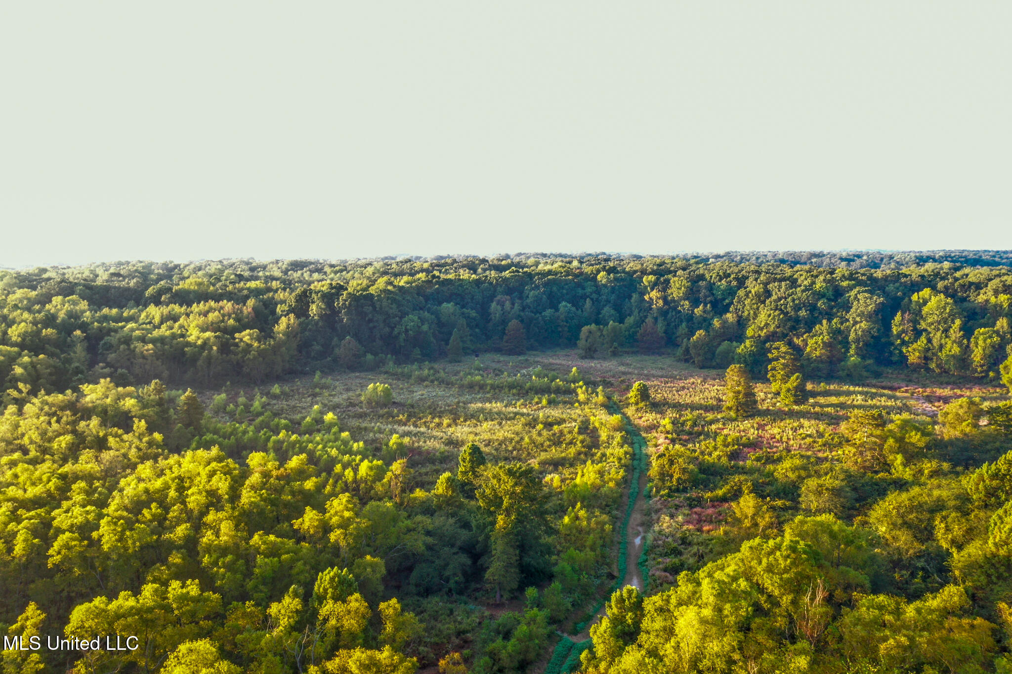 East Commerce Street Hernando, MS 38632 - Photo 3 of 51 DeSoto 109.8-3