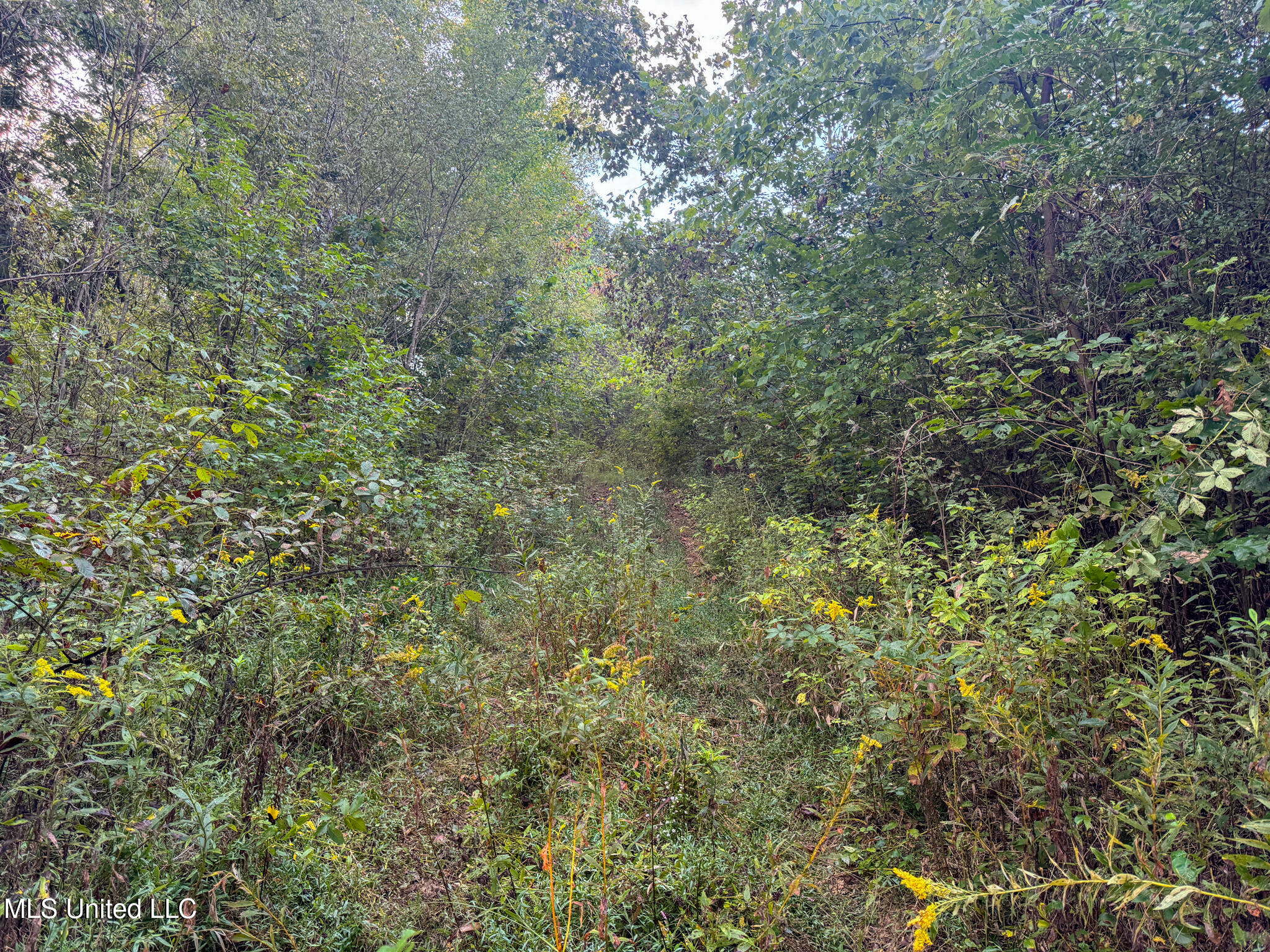 East Commerce Street Hernando, MS 38632 - Photo 31 of 51 DeSoto 109.8-26