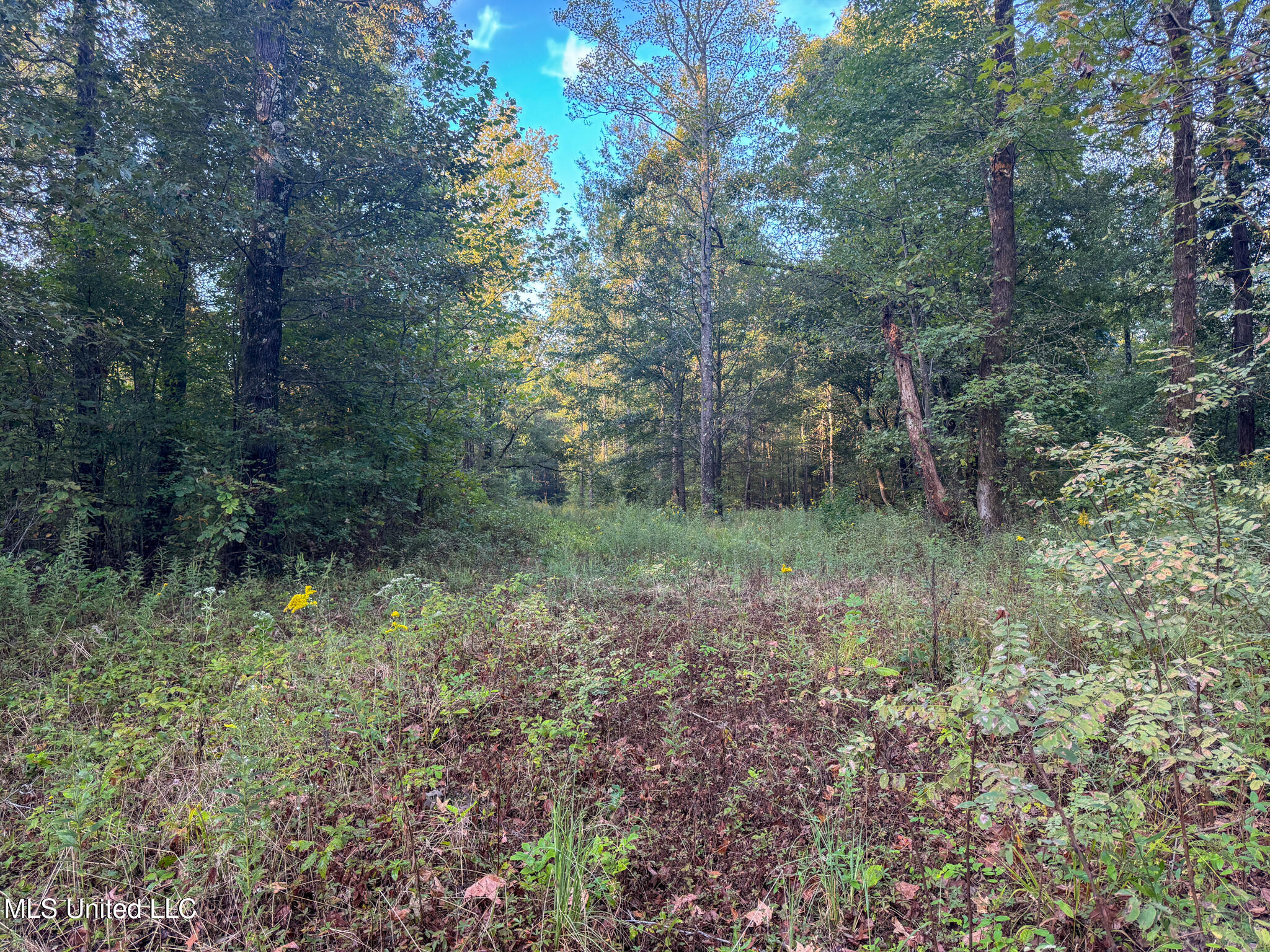 East Commerce Street Hernando, MS 38632 - Photo 32 of 51 DeSoto 109.8-27