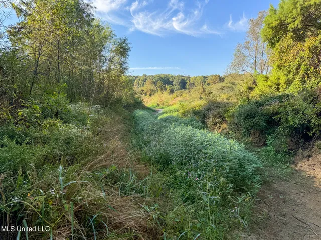 $299,000 | East Commerce Street, Hernando, MS 38632