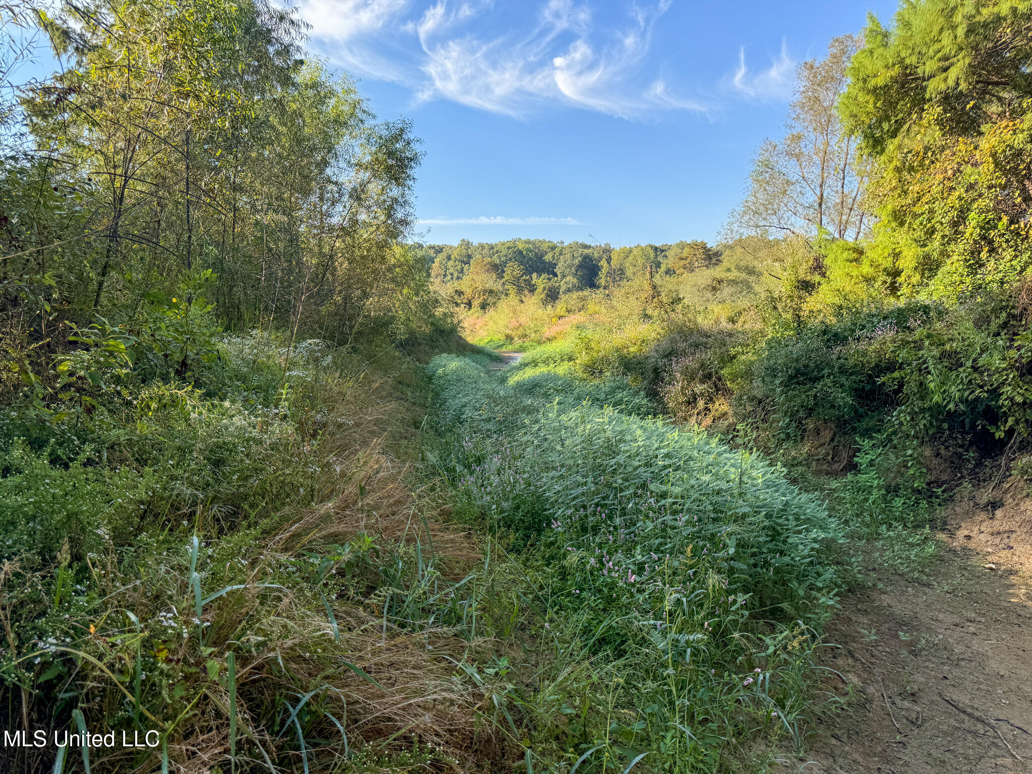 East Commerce Street Hernando, MS 38632 - Photo 33 of 51 DeSoto 109.8-36