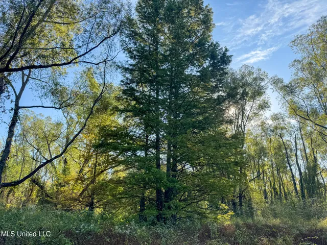 $299,000 | East Commerce Street, Hernando, MS 38632