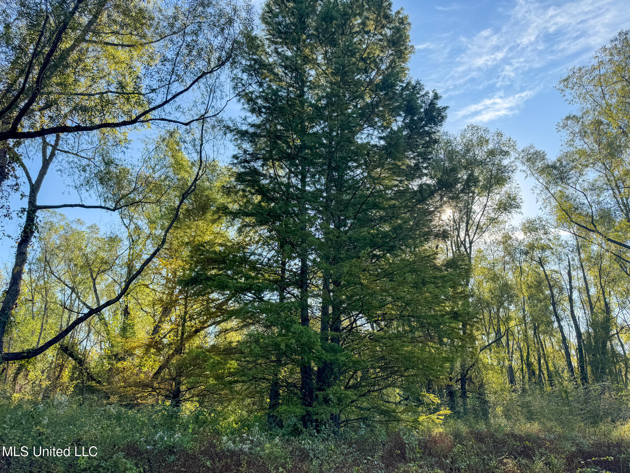 East Commerce Street Hernando, MS 38632 - Photo 36 of 51 DeSoto 109.8-33