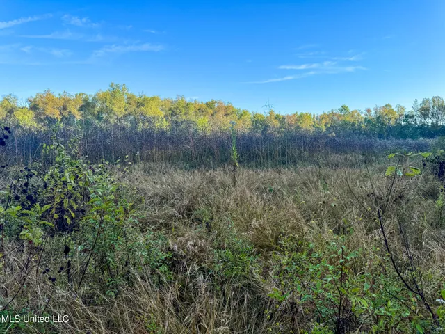 $299,000 | East Commerce Street, Hernando, MS 38632