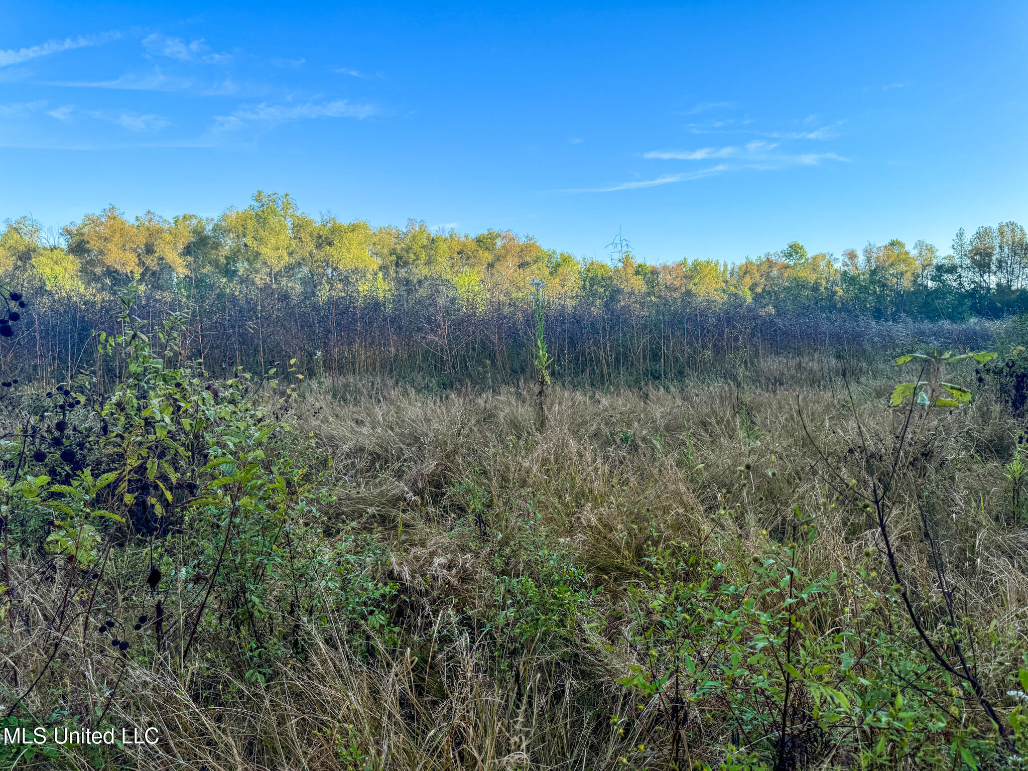 East Commerce Street Hernando, MS 38632 - Photo 37 of 51 DeSoto 109.8-32