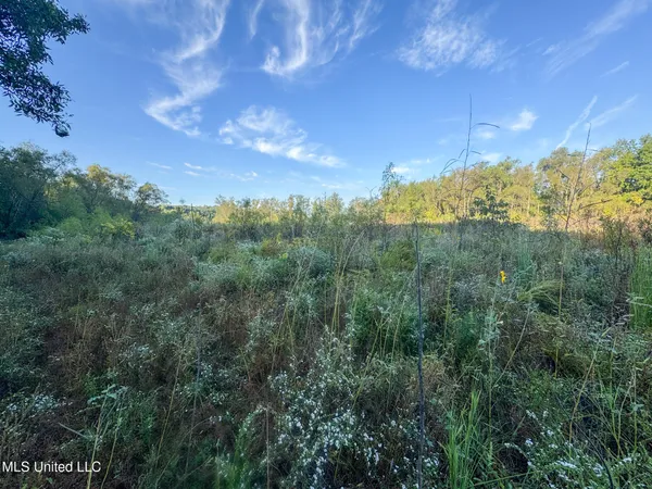 $299,000 | East Commerce Street, Hernando, MS 38632