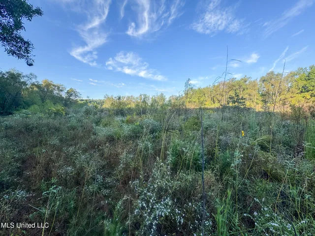 $299,000 | East Commerce Street, Hernando, MS 38632