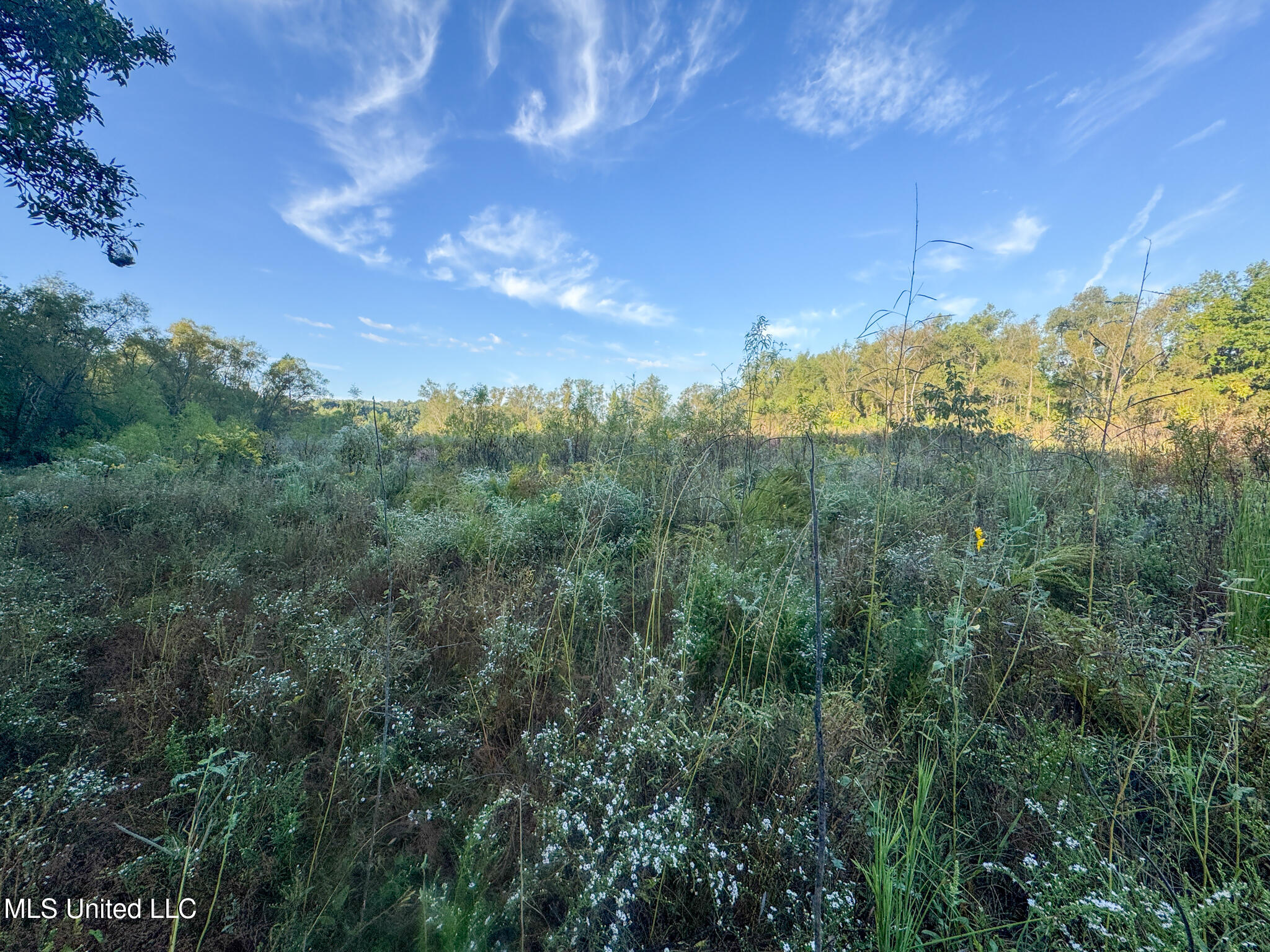 East Commerce Street Hernando, MS 38632 - Photo 38 of 51 DeSoto 109.8-31