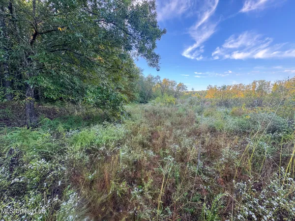 $299,000 | East Commerce Street, Hernando, MS 38632