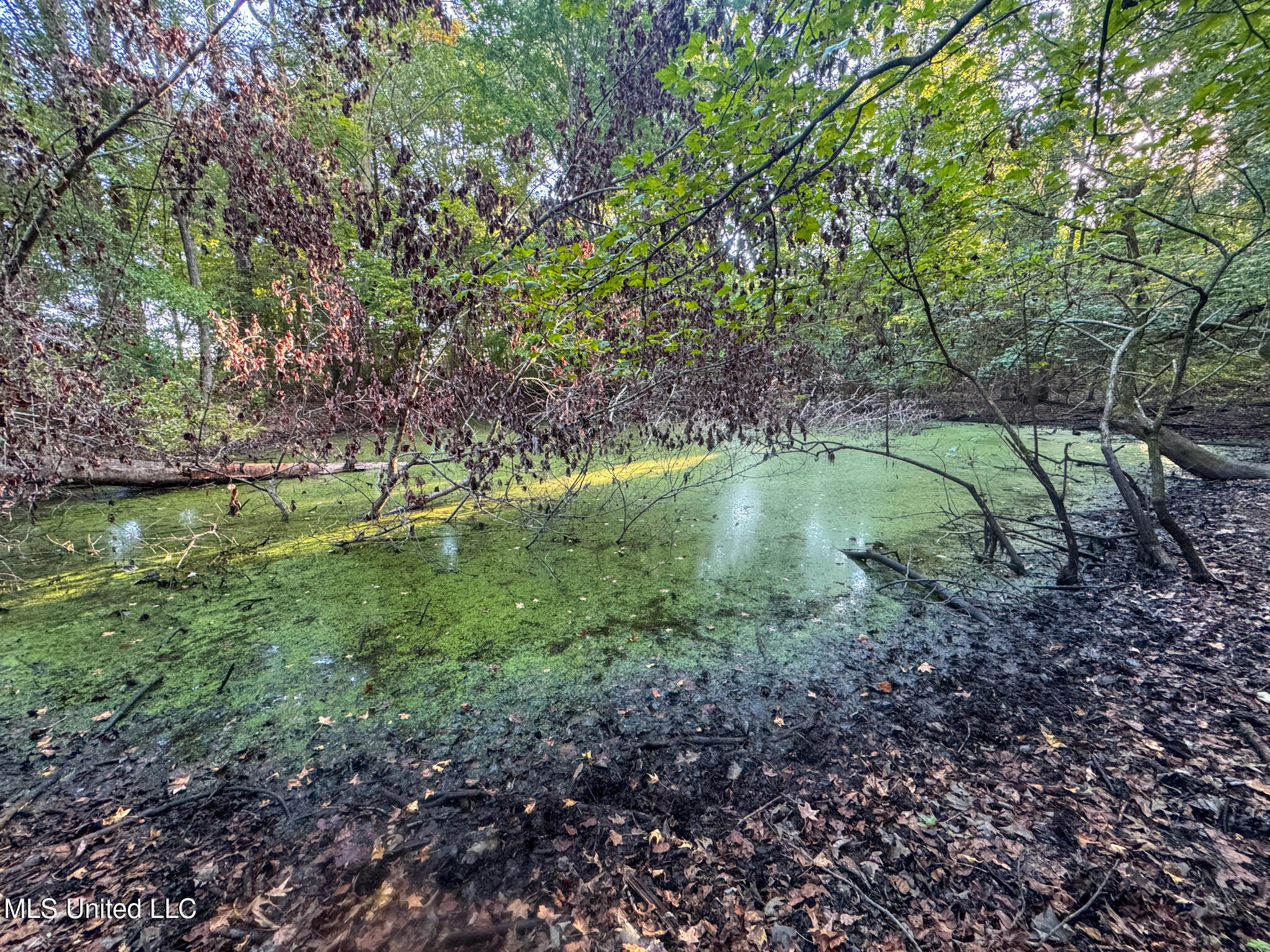 East Commerce Street Hernando, MS 38632 - Photo 40 of 51 DeSoto 109.8-29