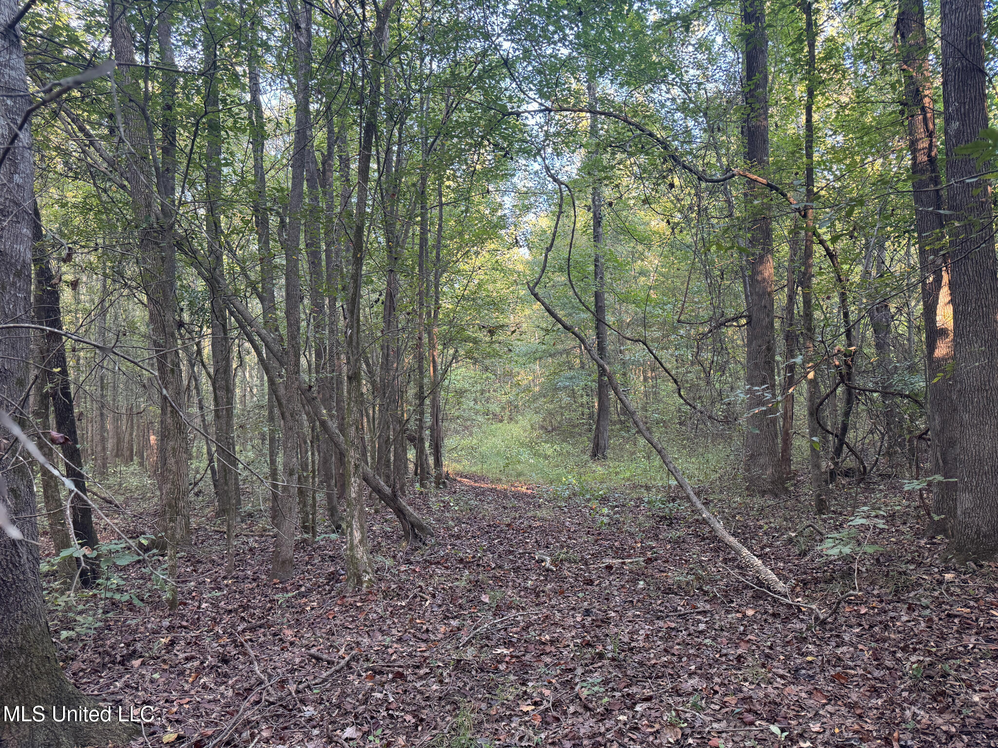 East Commerce Street Hernando, MS 38632 - Photo 4 of 51 DeSoto 109.8-4