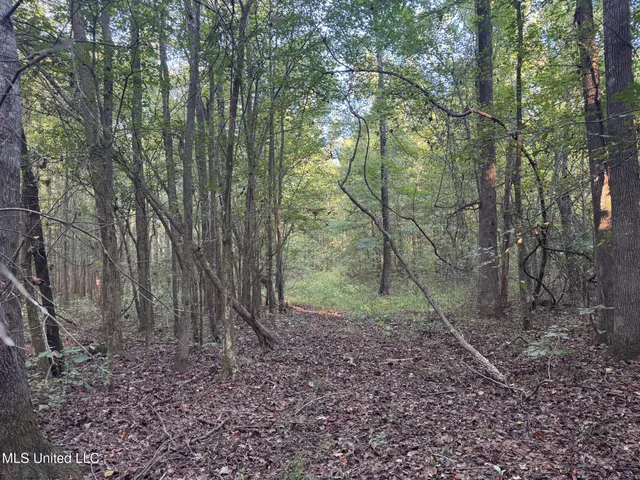 $299,000 | East Commerce Street, Hernando, MS 38632