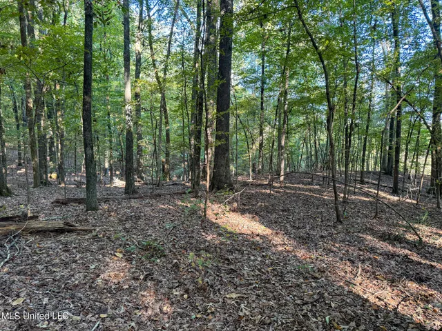 $299,000 | East Commerce Street, Hernando, MS 38632