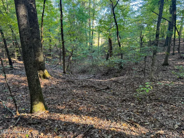 $299,000 | East Commerce Street, Hernando, MS 38632