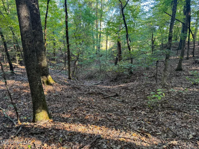 $299,000 | East Commerce Street, Hernando, MS 38632