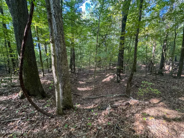 $299,000 | East Commerce Street, Hernando, MS 38632