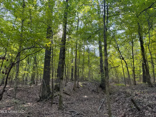 $299,000 | East Commerce Street, Hernando, MS 38632