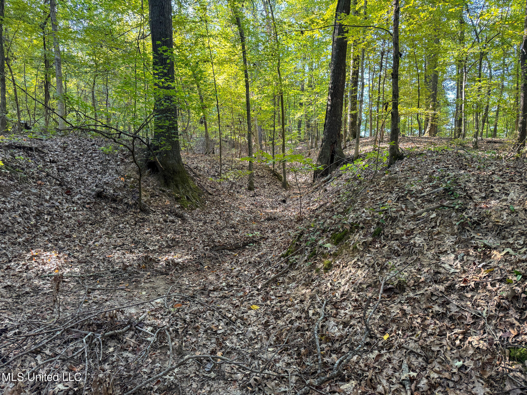 East Commerce Street Hernando, MS 38632 - Photo 46 of 51 DeSoto 109.8-41