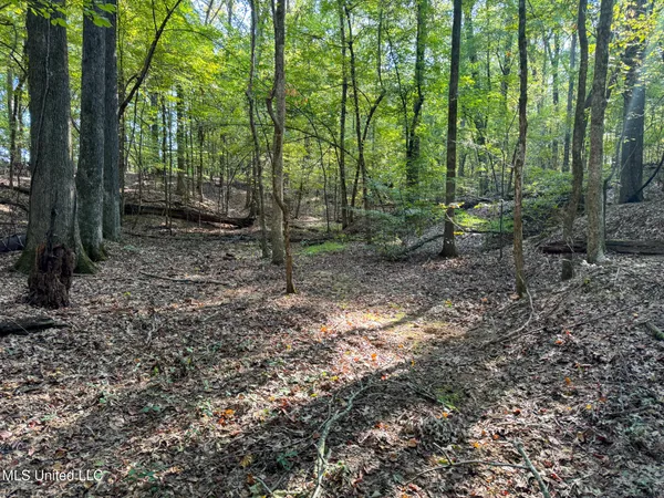 $299,000 | East Commerce Street, Hernando, MS 38632