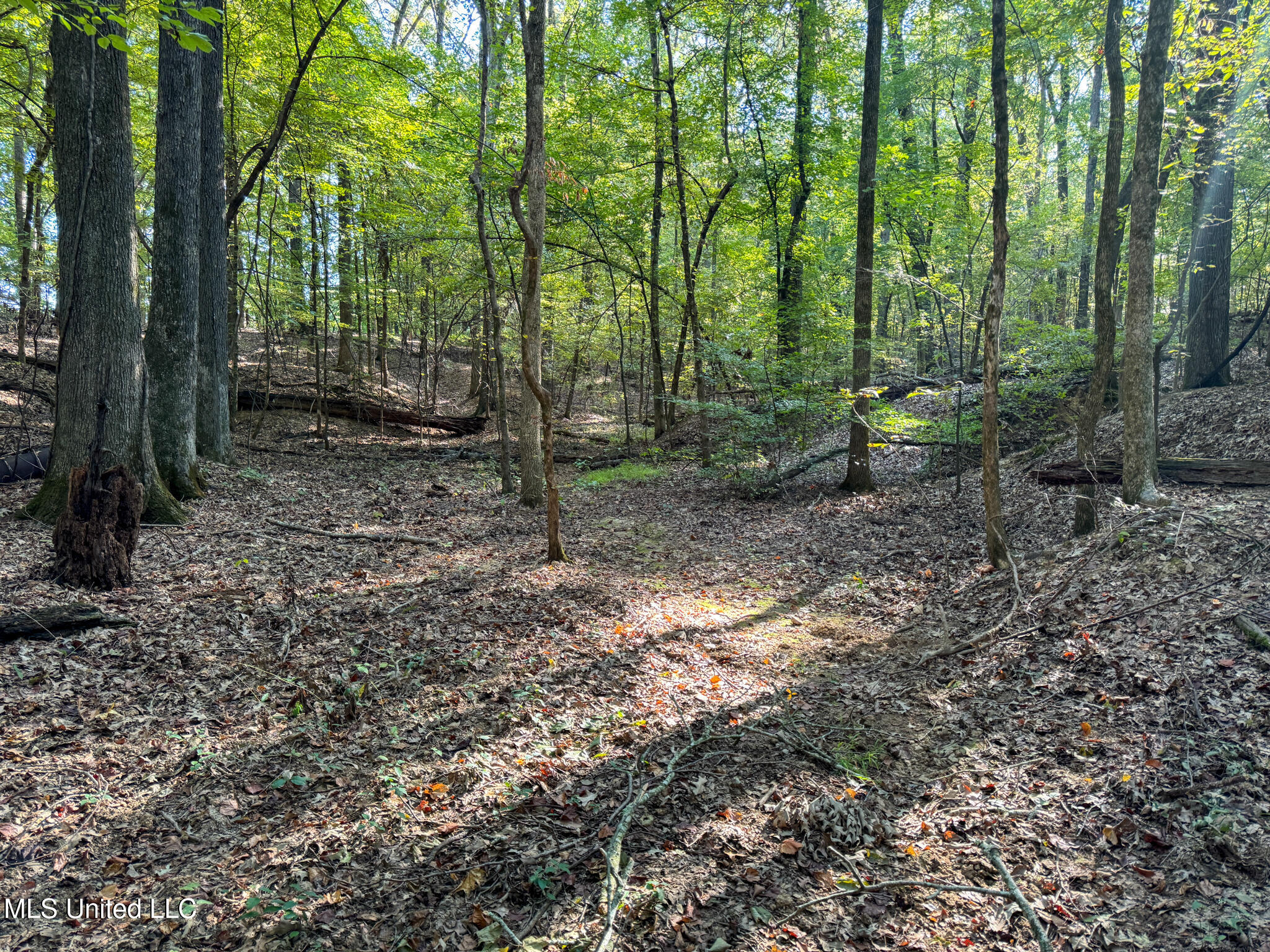 East Commerce Street Hernando, MS 38632 - Photo 47 of 51 DeSoto 109.8-42