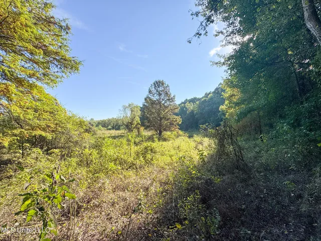 $299,000 | East Commerce Street, Hernando, MS 38632