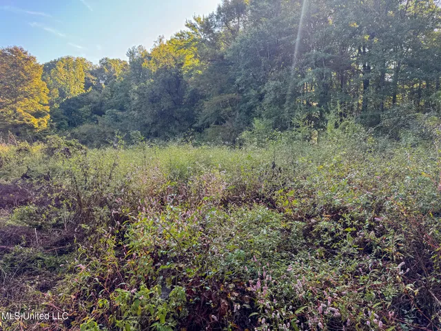 $299,000 | East Commerce Street, Hernando, MS 38632