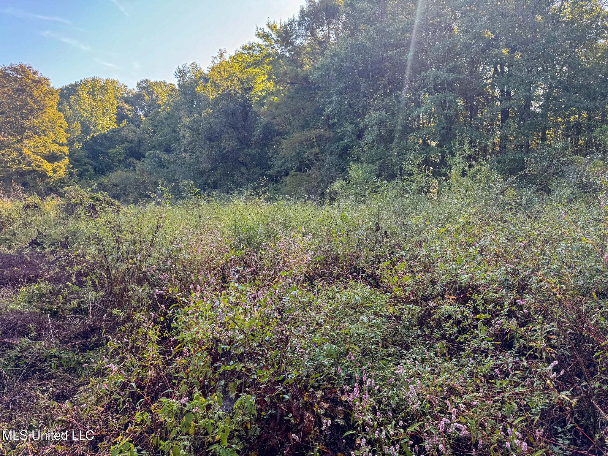 East Commerce Street Hernando, MS 38632 - Photo 49 of 51 DeSoto 109.8-44