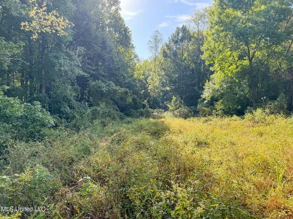 $299,000 | East Commerce Street, Hernando, MS 38632