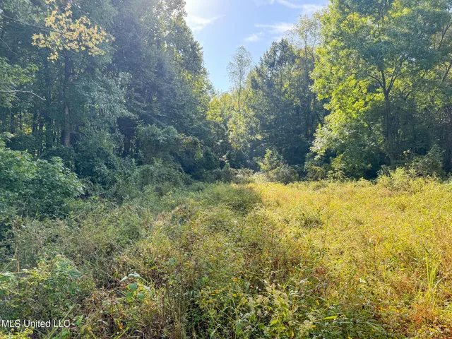 $299,000 | East Commerce Street, Hernando, MS 38632