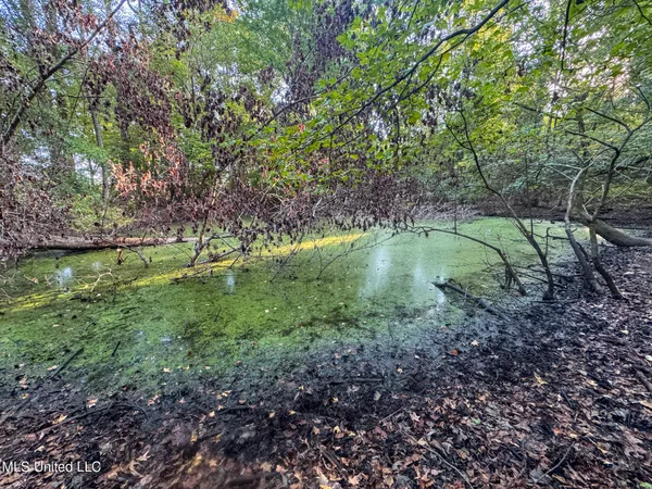 $299,000 | East Commerce Street, Hernando, MS 38632