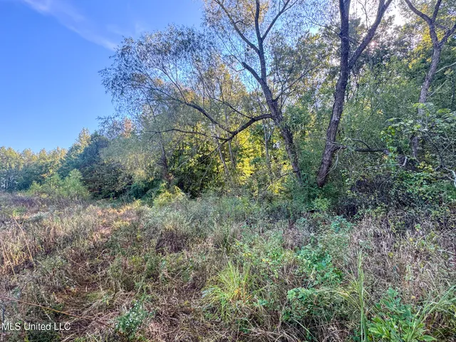 $299,000 | East Commerce Street, Hernando, MS 38632