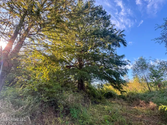 $299,000 | East Commerce Street, Hernando, MS 38632