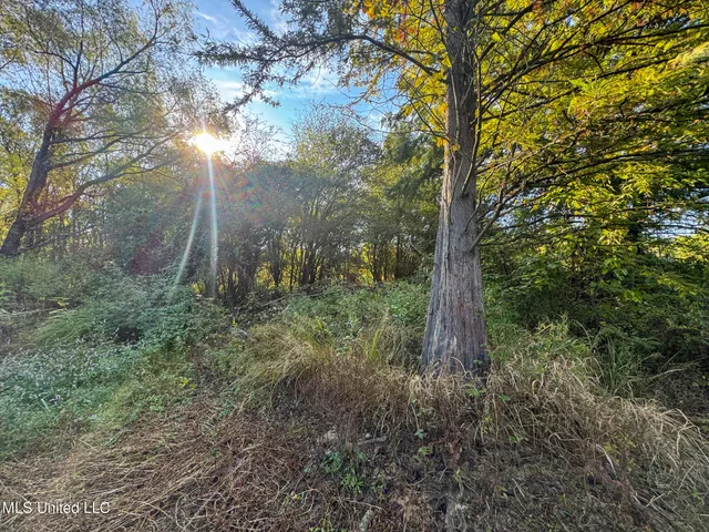 $299,000 | East Commerce Street, Hernando, MS 38632